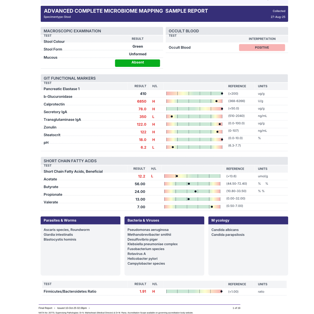 Comprehensive Gut Microbiome Testing Bundle