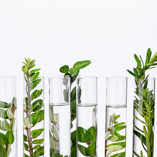 Comprehensive Gut Microbiome Testing Bundle